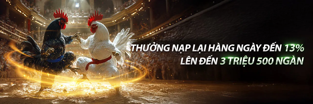 Đá Gà Trực Tuyến Hấp Dẫn tại km1888b nhà cái